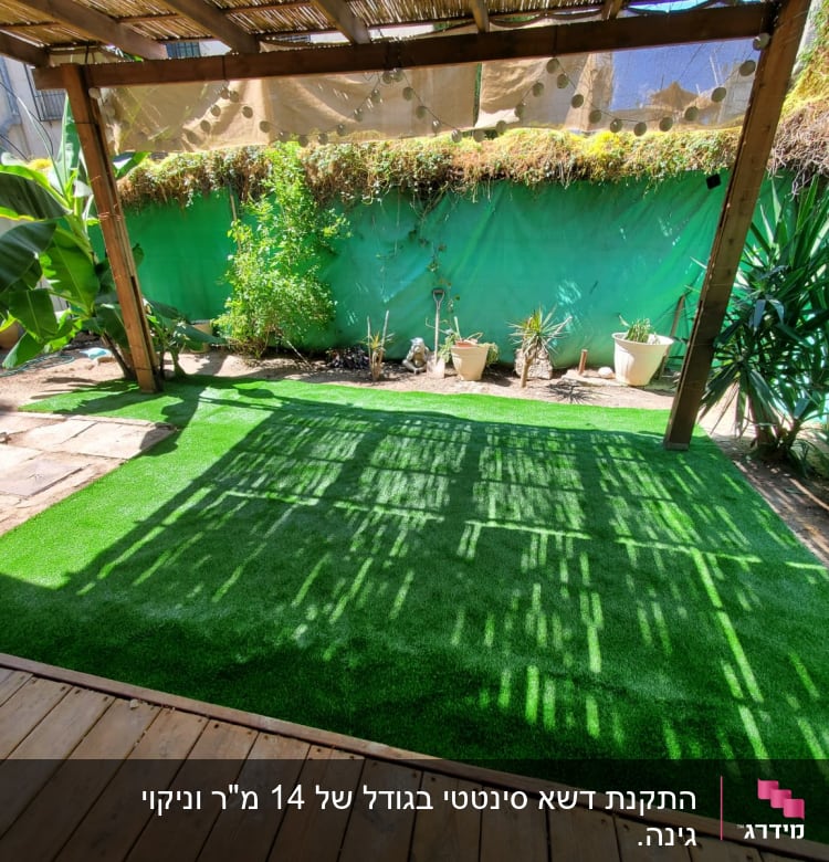 עציצים עם צמחים, דשא סינתטי, צינור השקיה